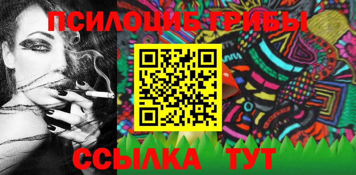 Псилоцибиновые грибы GOLDEN TEACHER  наркотики  Вышний Волочёк  Вход с VPN  Псилоцибиновые грибы GOLDEN TEACHER 